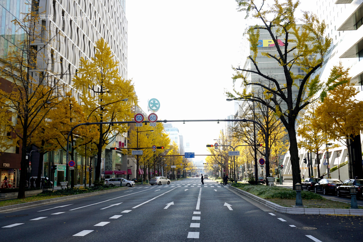 大阪御堂筋彩燈展2023｜世界紀錄認證最多彩燈裝飾行道樹的道路