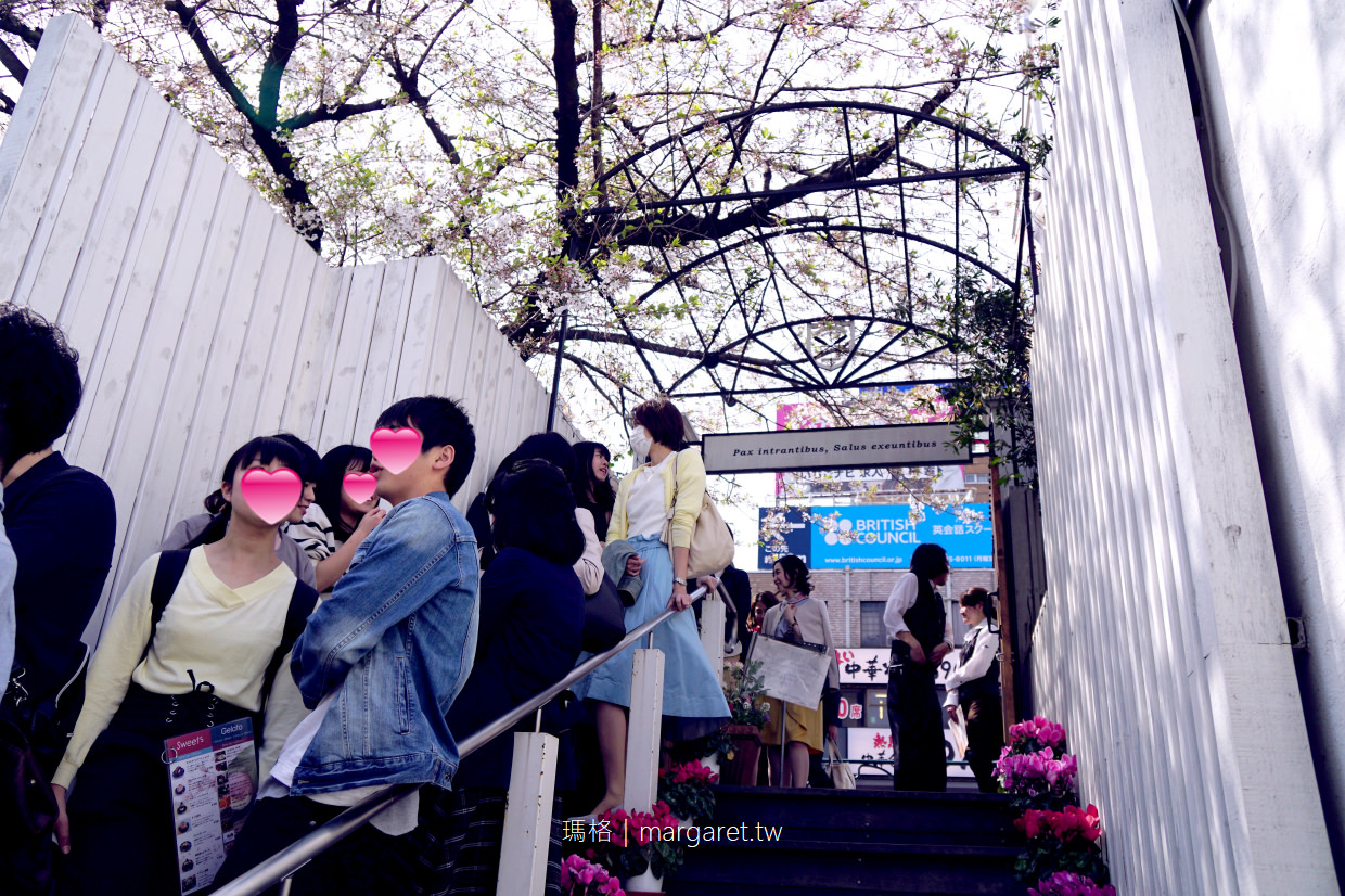 CANAL cafe。外濠公園賞櫻餐廳第一排｜櫻花、舟船、電車同框絕景