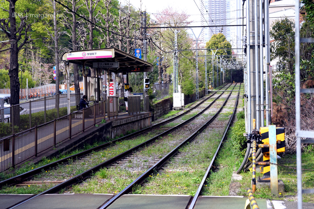 都電荒川線。東京櫻花路面電車Tokyo Sakura Tram｜沿著神田川櫻並木散步道，到早稻田大學喝咖啡