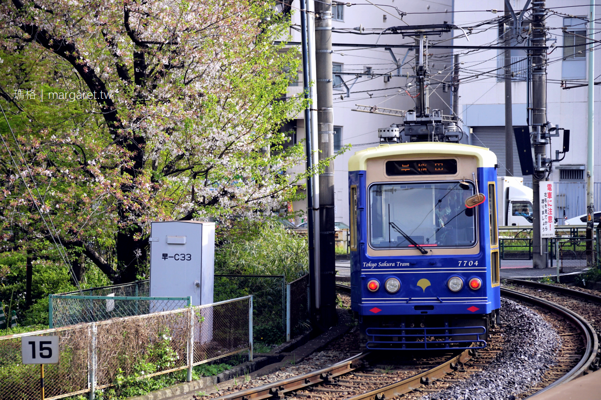 都電荒川線。東京櫻花路面電車Tokyo Sakura Tram｜沿著神田川櫻並木散步道，到早稻田大學喝咖啡