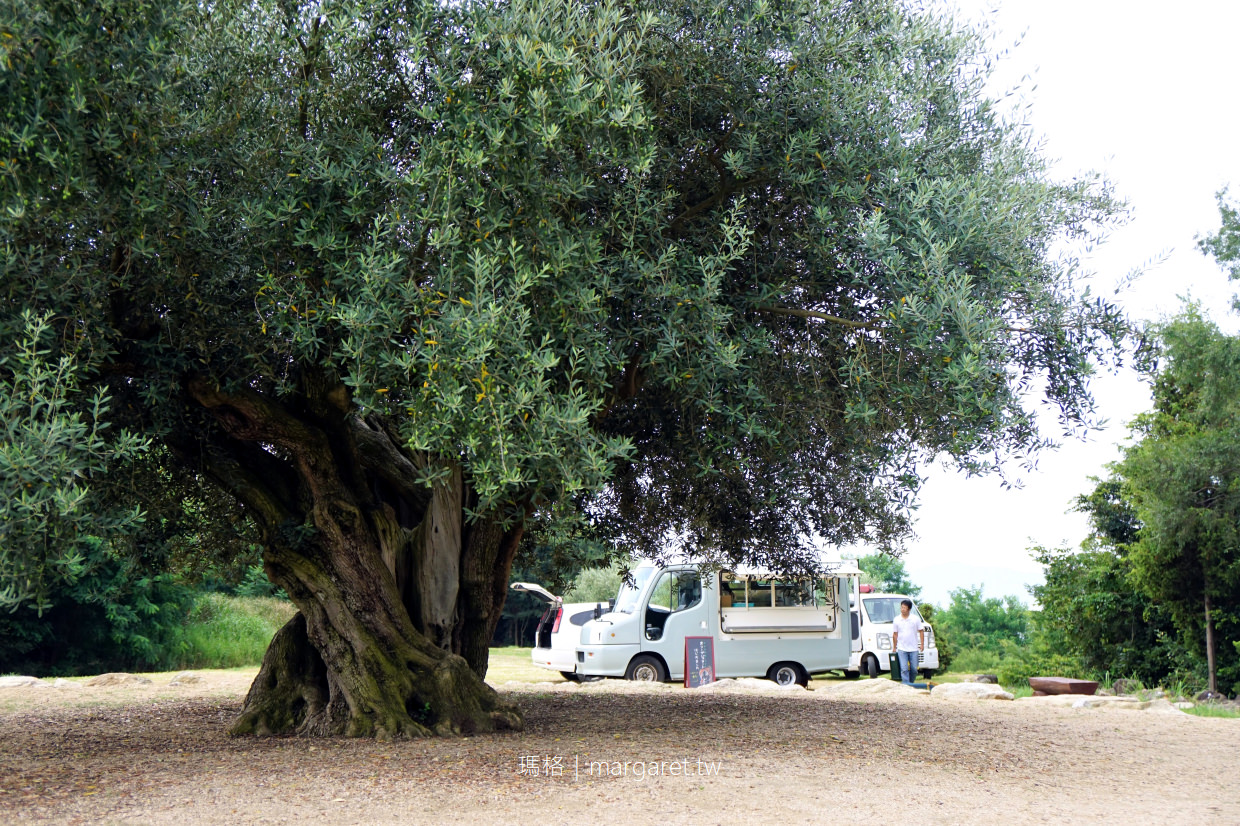 小豆島橄欖公園。千年橄欖樹｜米洛斯風車飛天魔女。愛麗絲夢遊仙境橄欖起源之書 (二訪更新)