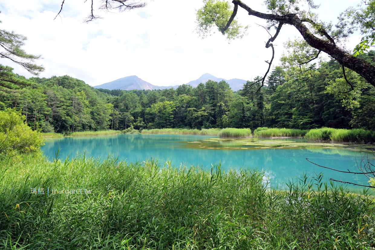 五色沼。弁天池夢幻的Tiffany藍｜福島磐梯高原絕景