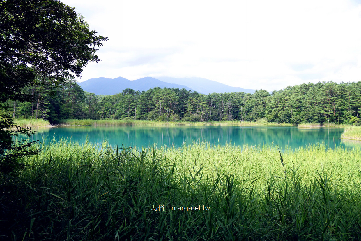 五色沼。弁天池夢幻的Tiffany藍｜福島磐梯高原絕景