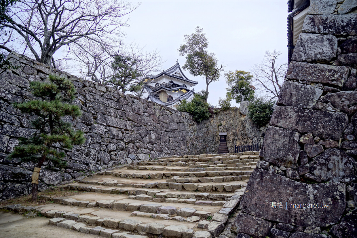 彥根城。400年日本國寶城｜琵琶湖畔保存完整的木造天守