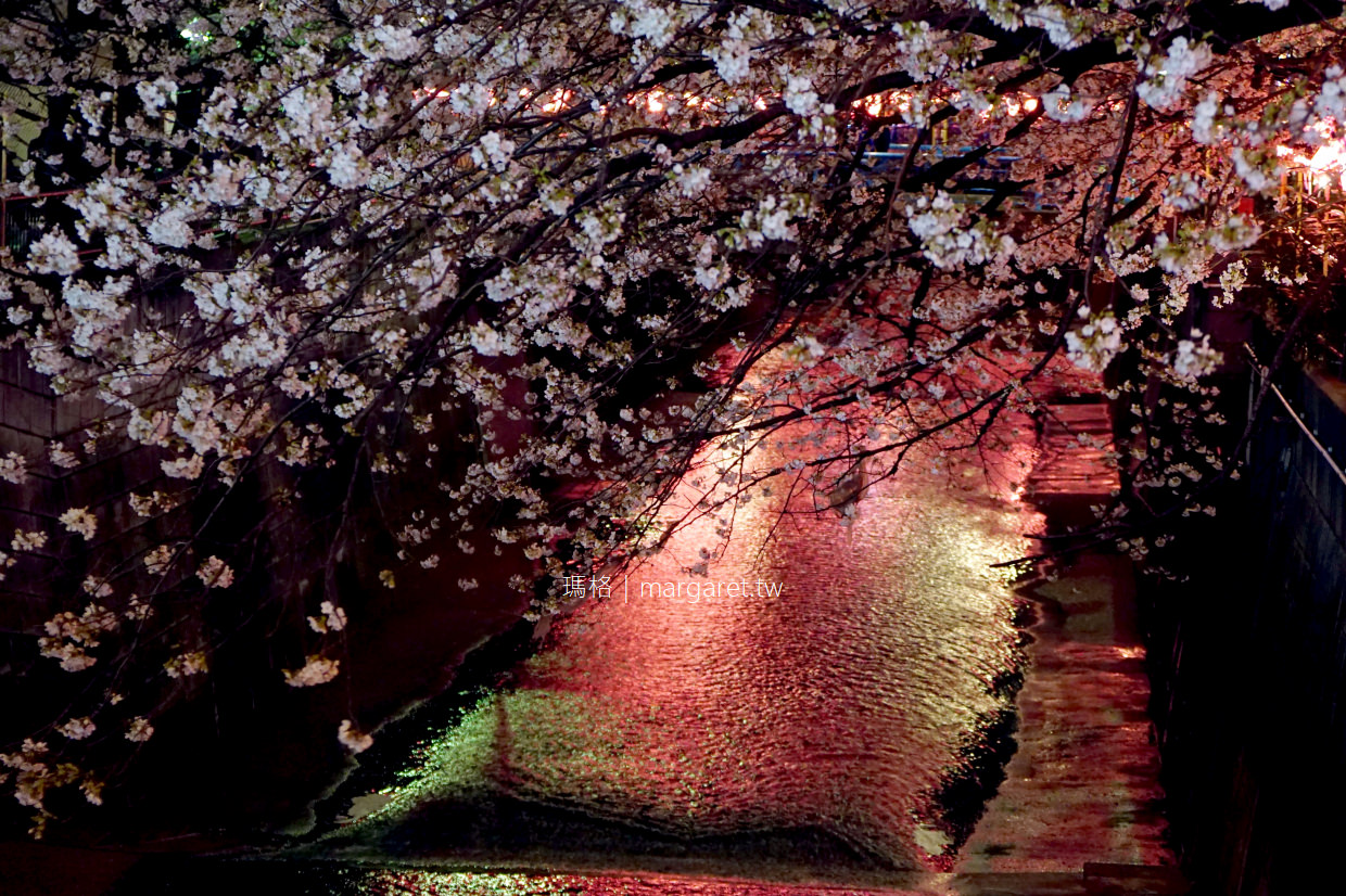 東京目黑川賞櫻。夜櫻點燈｜從人潮少的池尻大橋開始逛