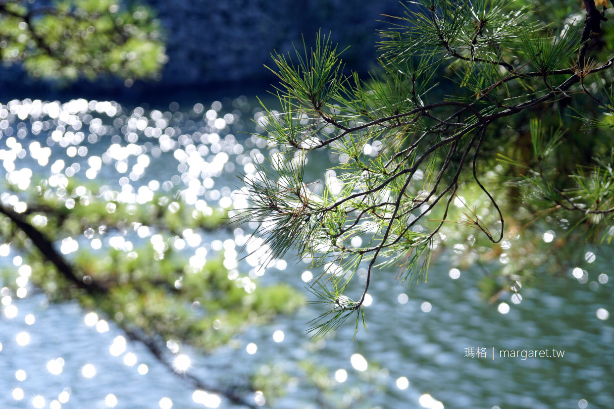 彥根城。400年日本國寶城｜琵琶湖畔保存完整的木造天守