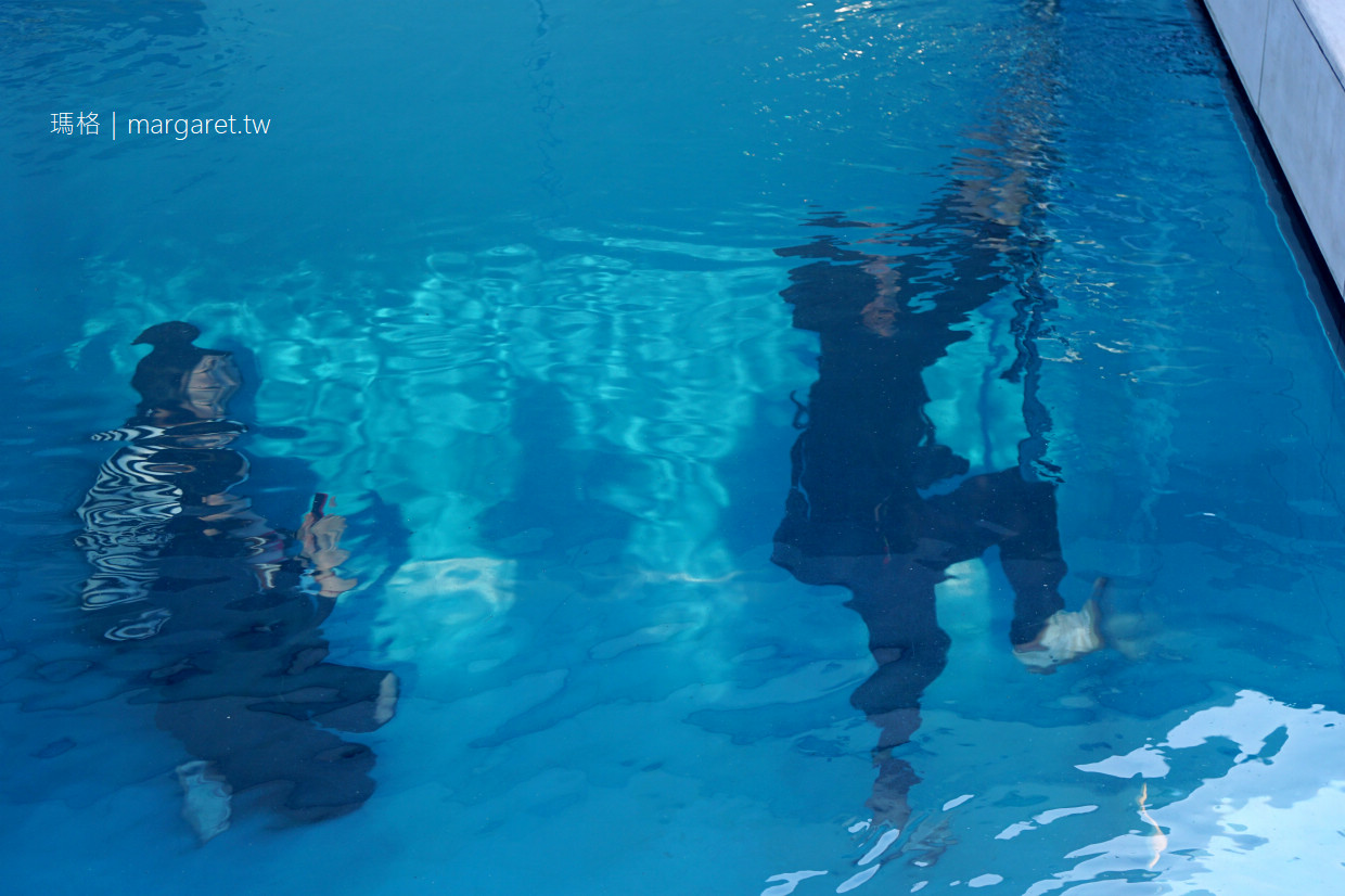 金澤21世紀美術館。世界最有名的泳池｜威尼斯建築雙年展金獅獎