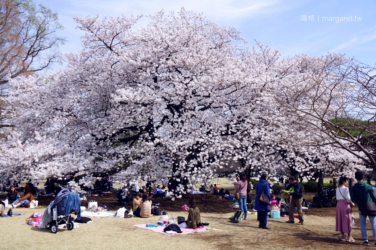 最新推播訊息：東京賞櫻最推薦的野餐地點