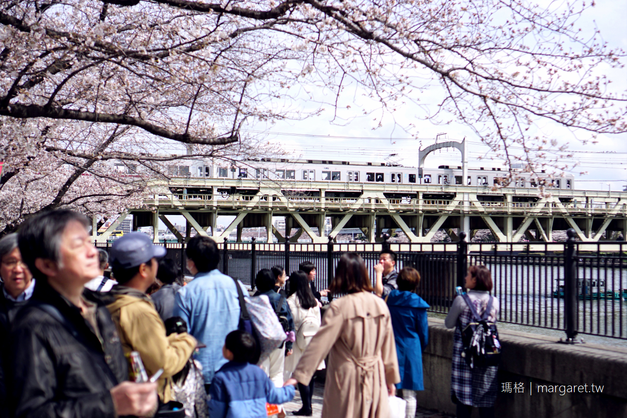賞櫻名所。隅田公園｜走進東京市民的櫻花野餐派對