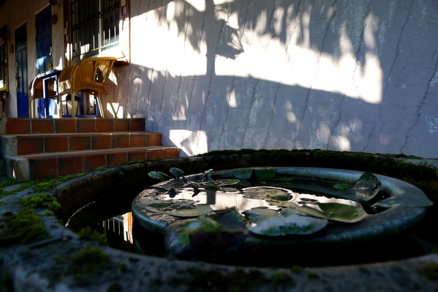 莫內花園民宿好咖啡。鯉魚潭旁的祕境｜馬雅文化出現在花蓮？