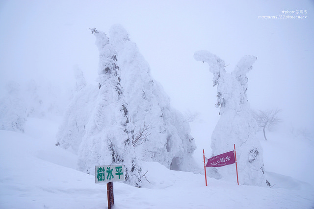 秋田阿仁滑雪場、阿仁樹冰