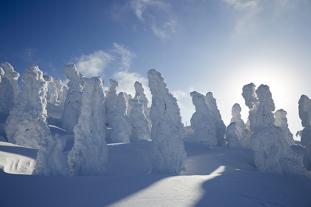 秋田森吉山樹冰。日本三大樹冰絕景之一｜到阿仁滑雪場搭雪上車、看雪怪、鑽冰樹洞