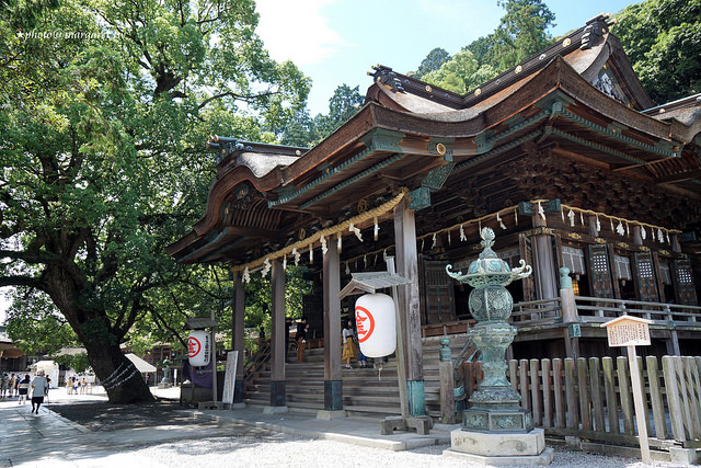 香川。金刀比羅宮｜日本人一生必參拜、最難到達神社全長1368階