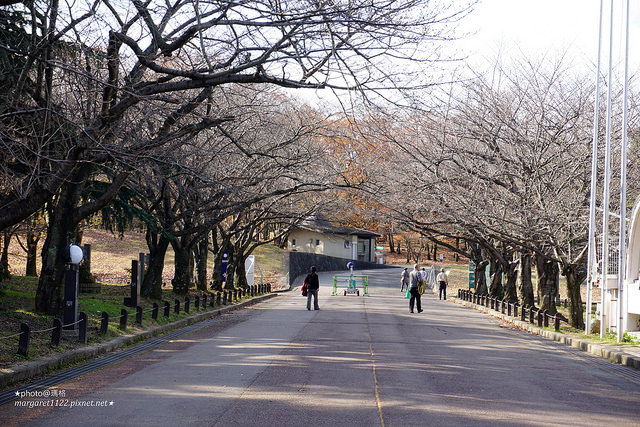 大阪｜萬博公園