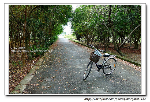 花蓮。干城社區單車自由行｜飛馳在吉安鄉的綠色廊道上